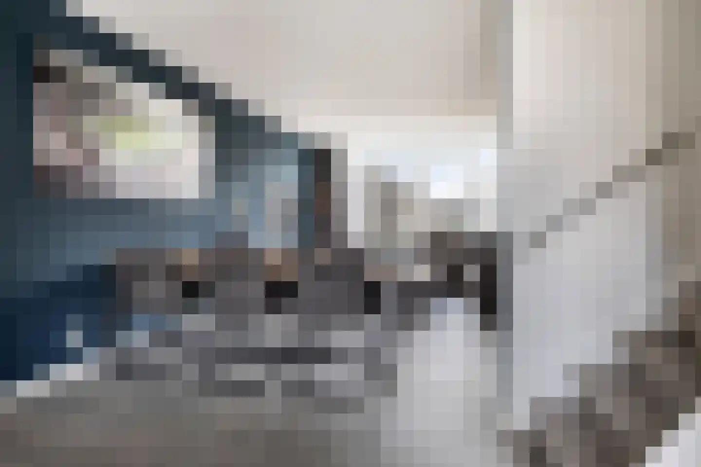 Passiebloem 43 Rotterdam thumbnail 17