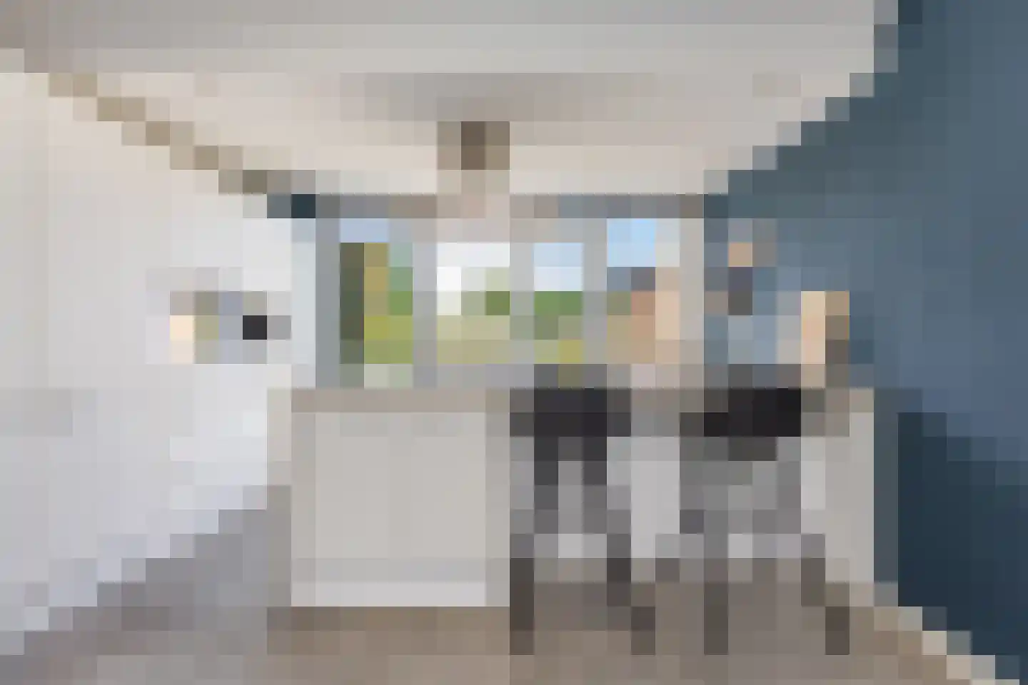Passiebloem 43 Rotterdam thumbnail 17