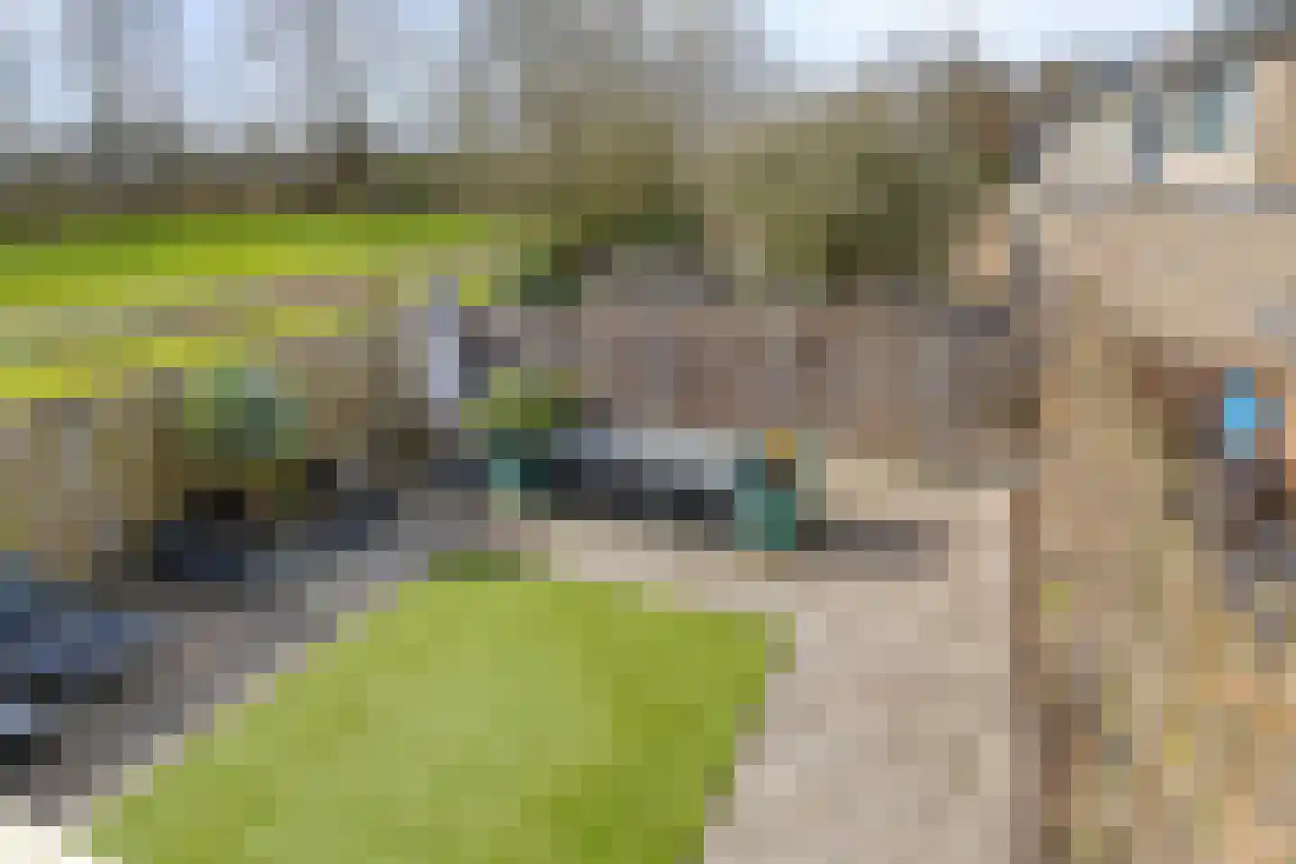 Passiebloem 43 Rotterdam thumbnail 19