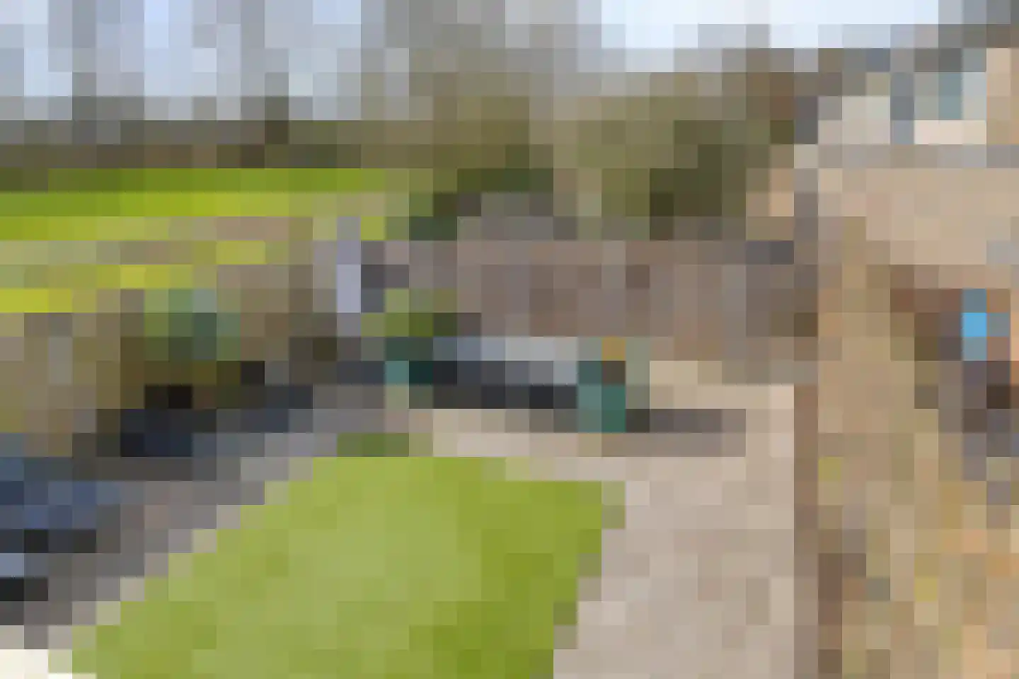 Passiebloem 43 Rotterdam thumbnail 19
