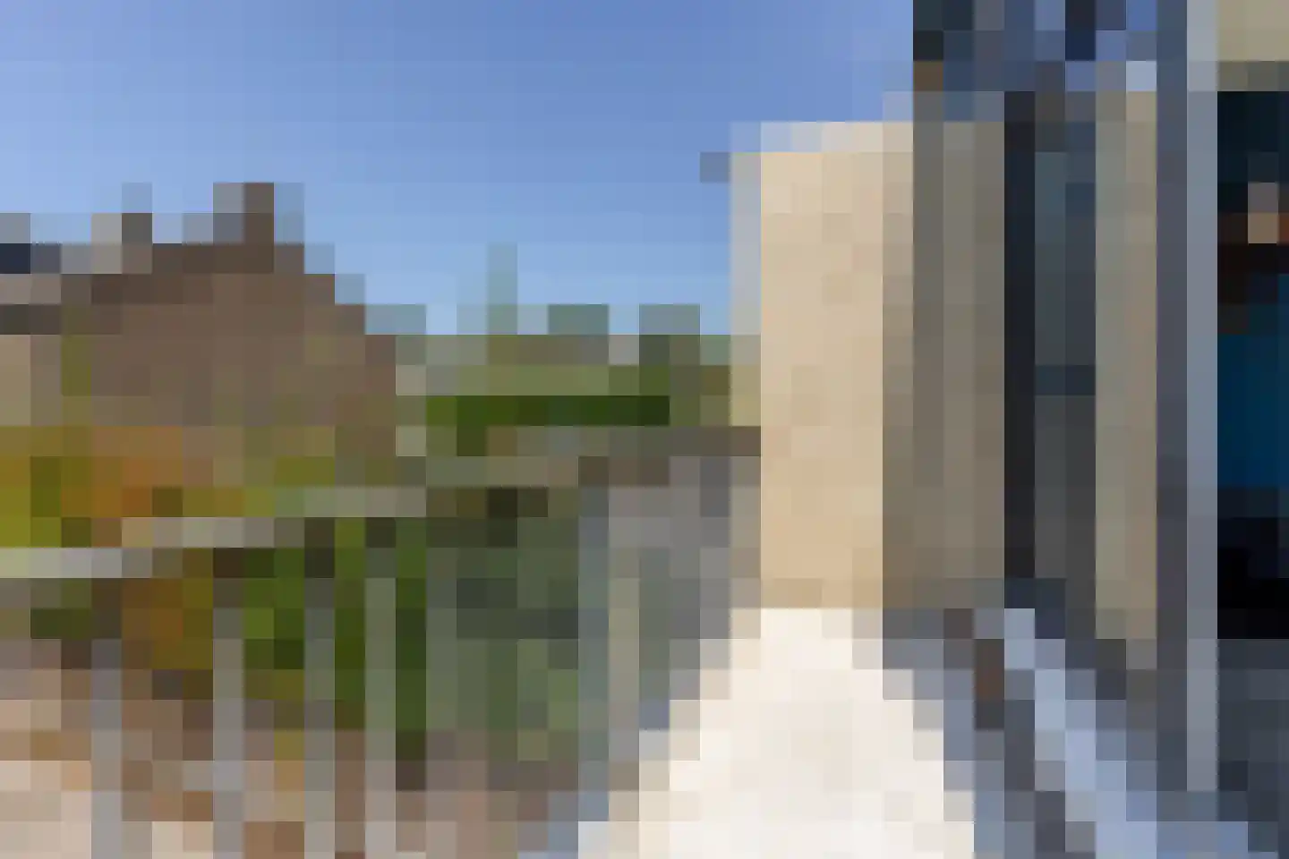 Passiebloem 43 Rotterdam thumbnail 21
