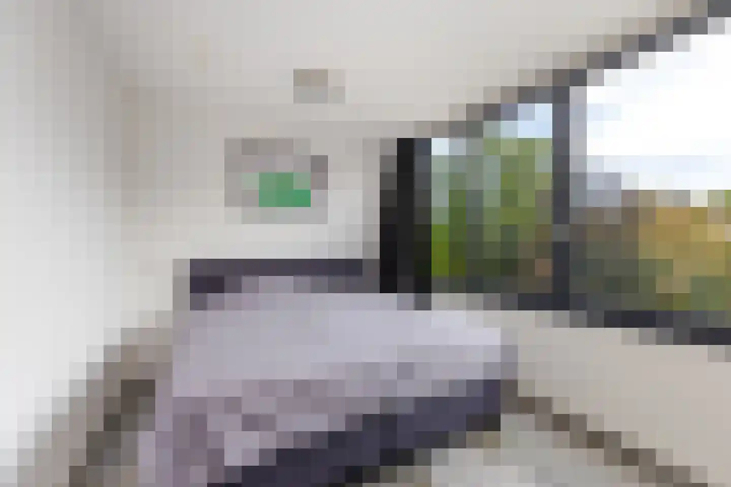 Passiebloem 43 Rotterdam thumbnail 32