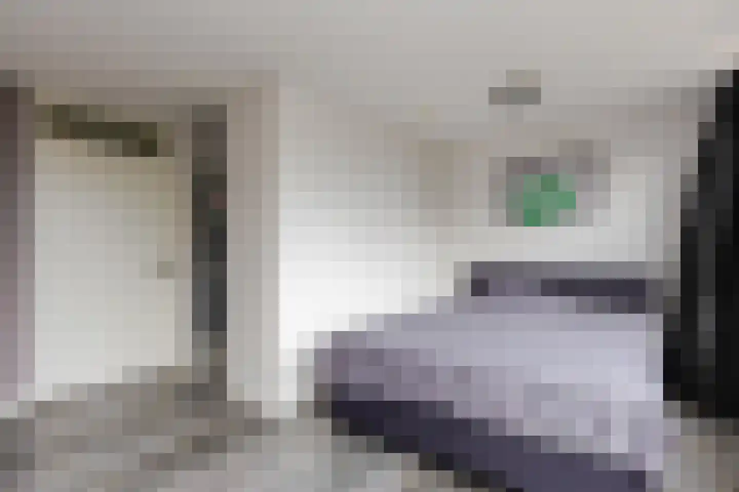 Passiebloem 43 Rotterdam thumbnail 33