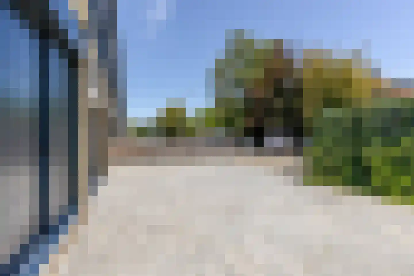Passiebloem 43 Rotterdam thumbnail 40
