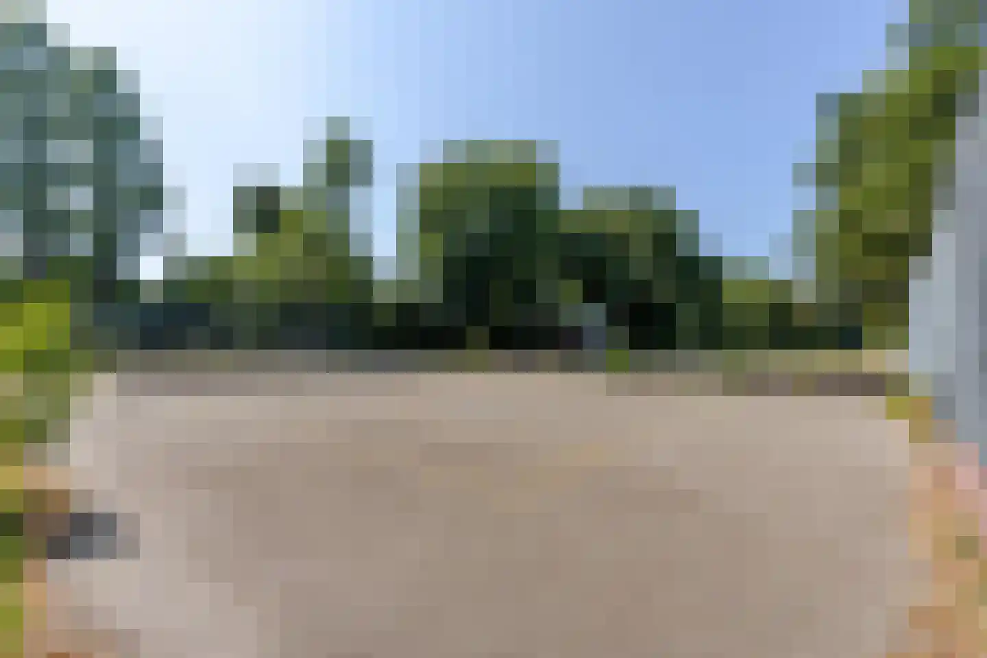 Passiebloem 43 Rotterdam thumbnail 47