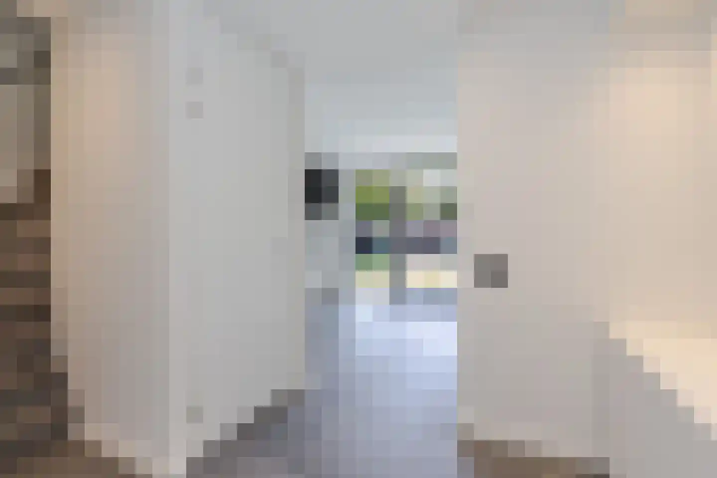 Passiebloem 43 Rotterdam thumbnail 6