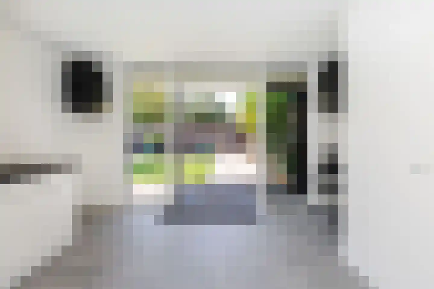 Passiebloem 43 Rotterdam thumbnail 9