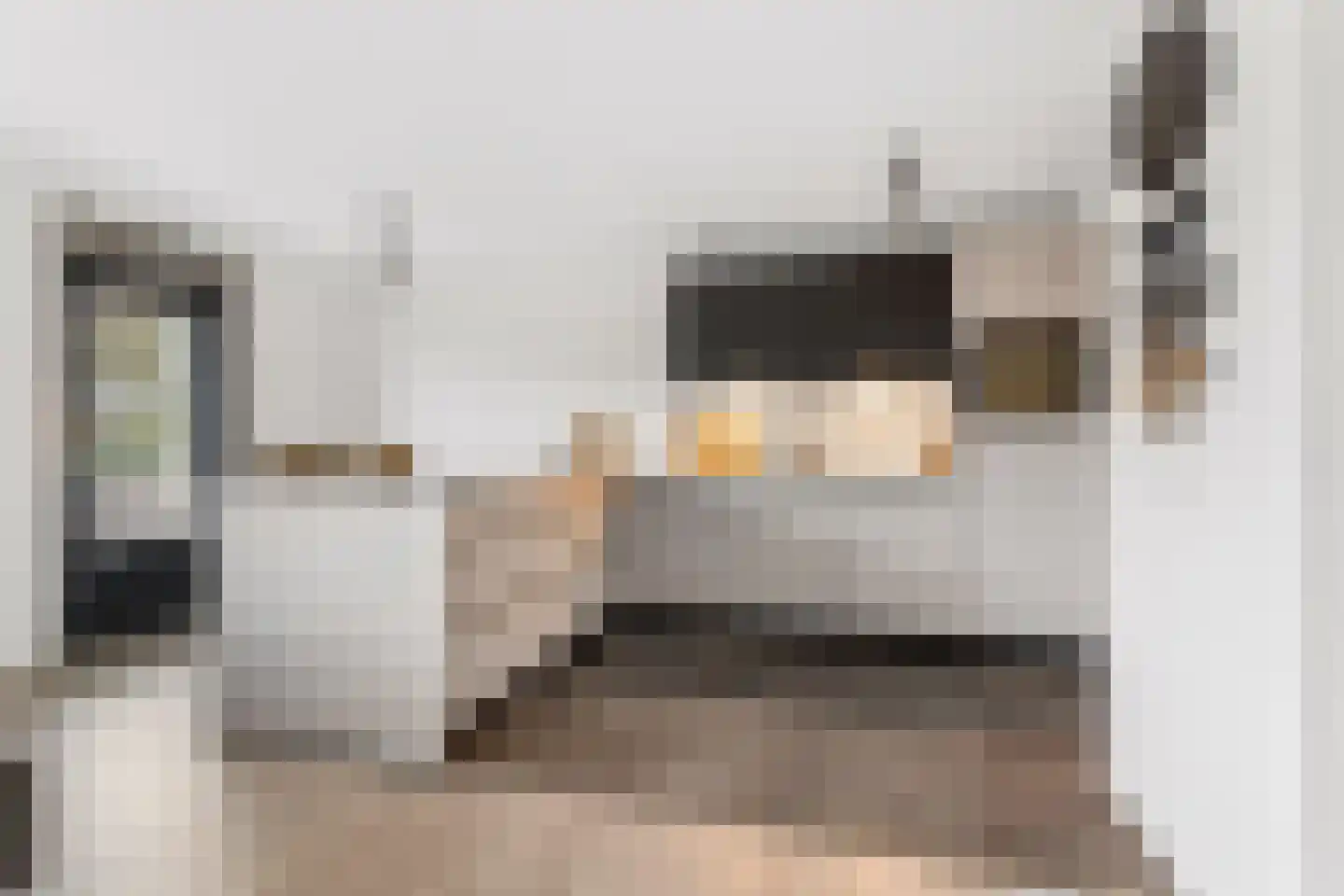 Passiebloemweg 3 Almere thumbnail 11