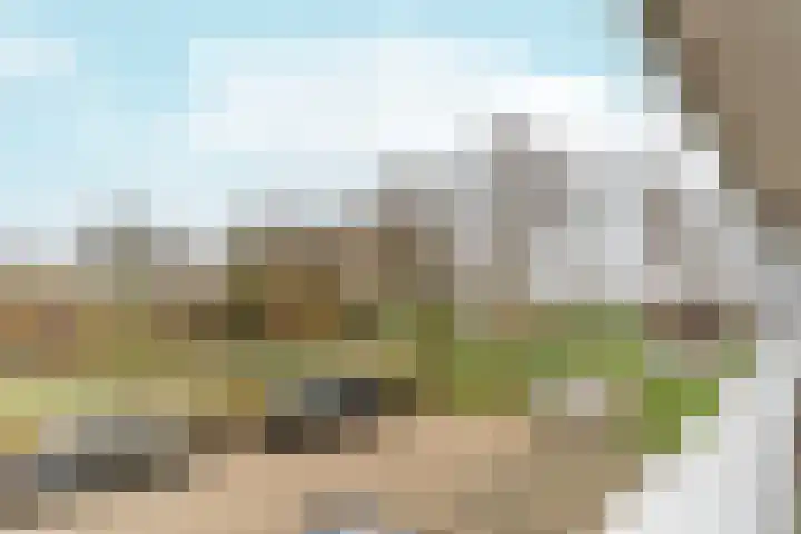 Passiebloemweg 3 Almere thumbnail 16