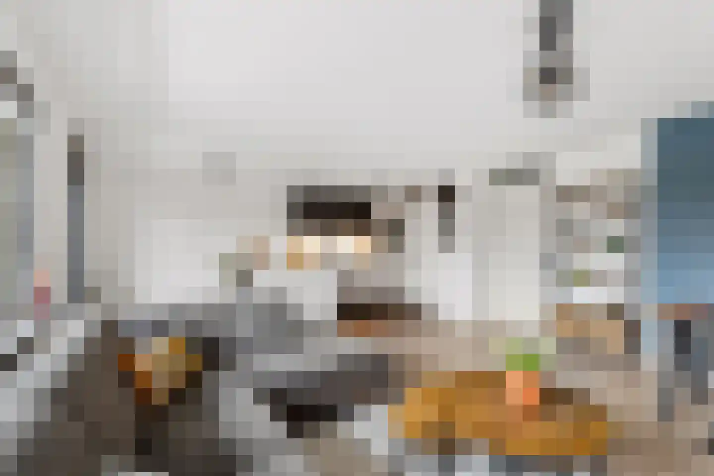 Passiebloemweg 3 Almere thumbnail 8