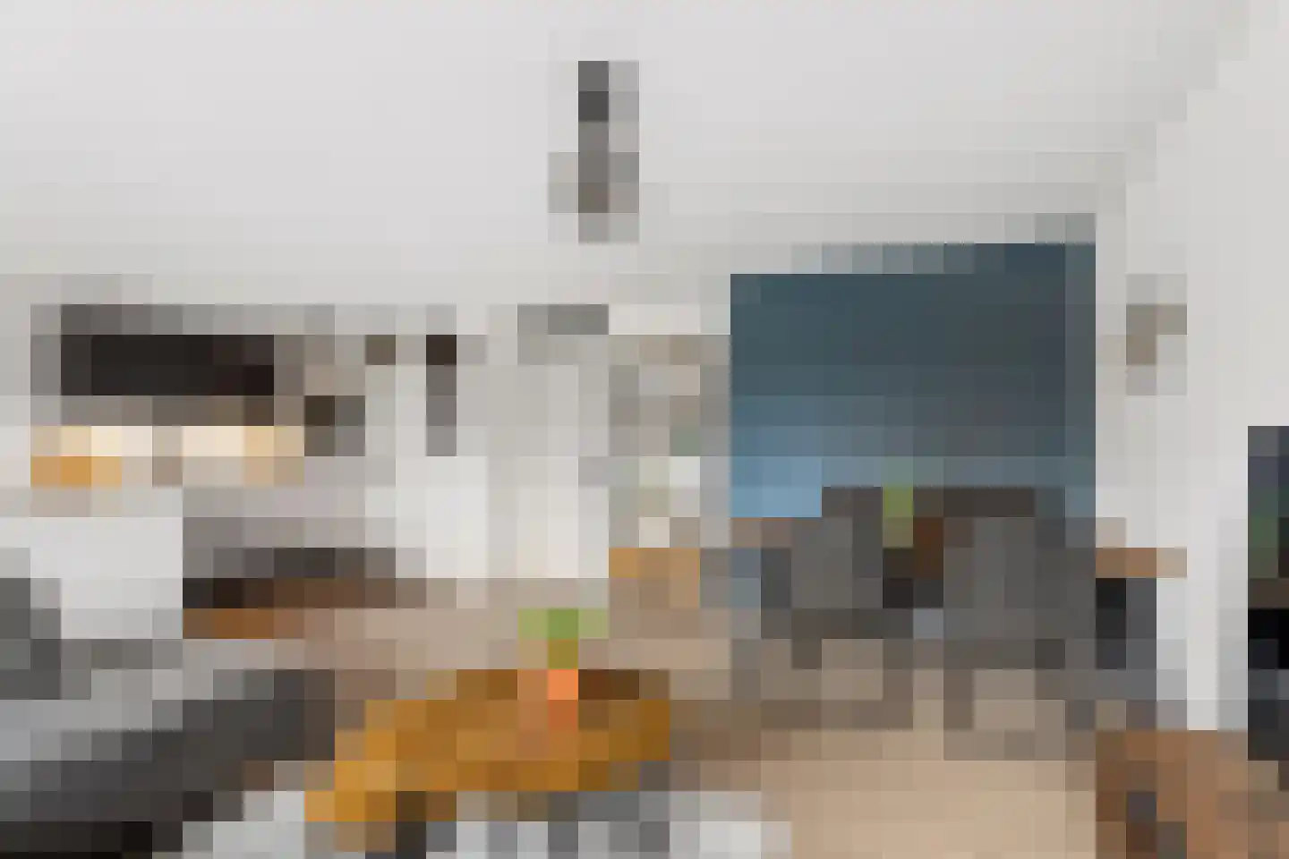 Passiebloemweg 3 Almere thumbnail 9