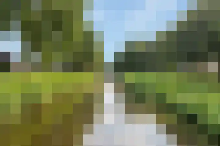 Passiebloemweg 31 Almere thumbnail 30
