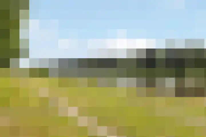 Passiebloemweg 31 Almere thumbnail 32
