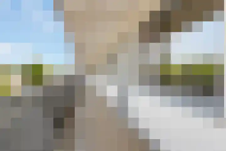 Passiebloemweg 31 Almere thumbnail 6