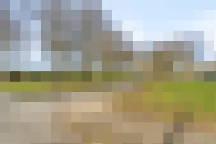 Passiebloemweg 67 Almere thumbnail 38