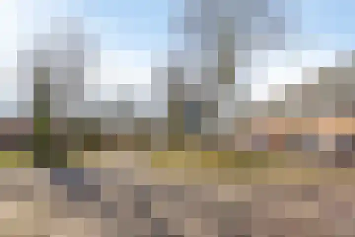 Passiebloemweg 67 Almere thumbnail 8