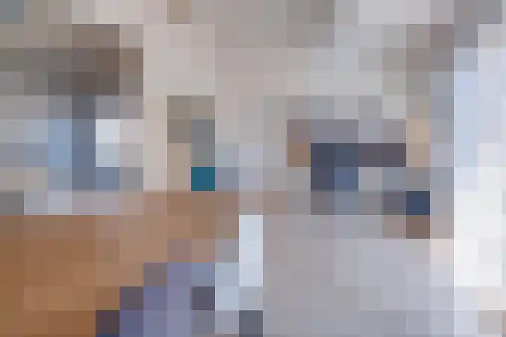 Passtraat 4 Roosteren thumbnail 11