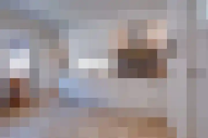 Passtraat 4 Roosteren thumbnail 15