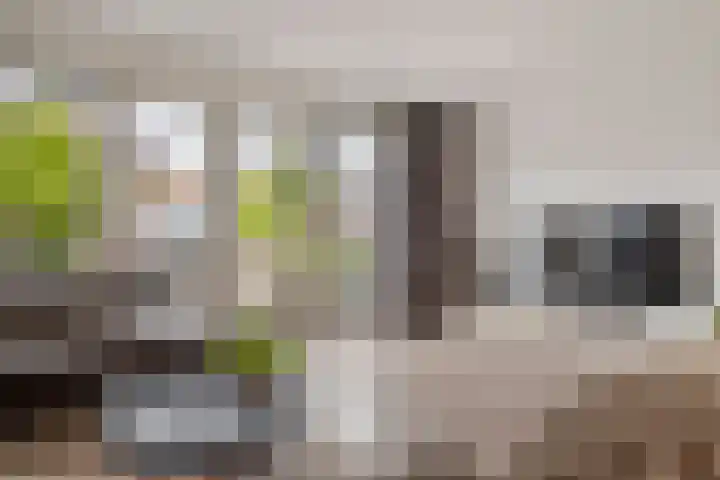 Passtraat 4 Roosteren thumbnail 22