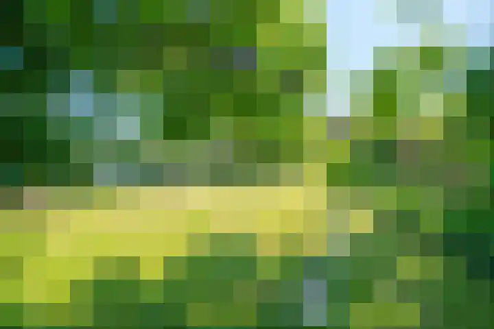 Passtraat 4 Roosteren thumbnail 35