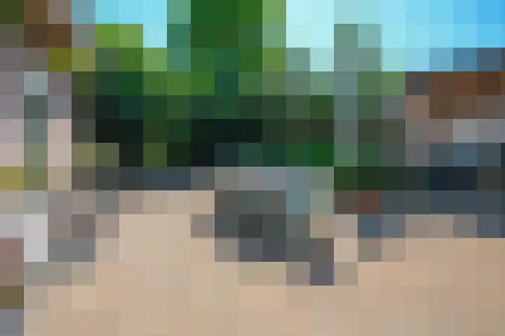 Passtraat 4 Roosteren thumbnail 4