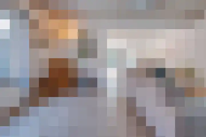 Passtraat 4 Roosteren thumbnail 6