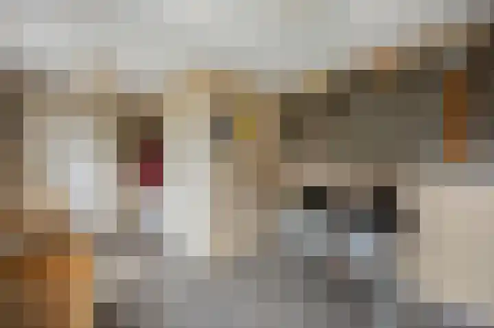 Passtraat 72 Roosteren thumbnail 44