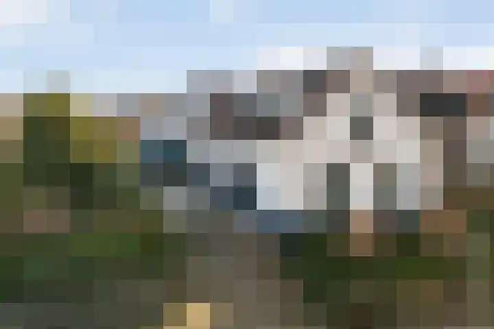 Passtraat 72 Roosteren thumbnail 5