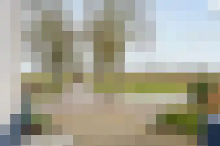 Passtraat 72 Roosteren thumbnail 56
