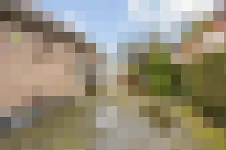 Passtraat 72 Roosteren thumbnail 60