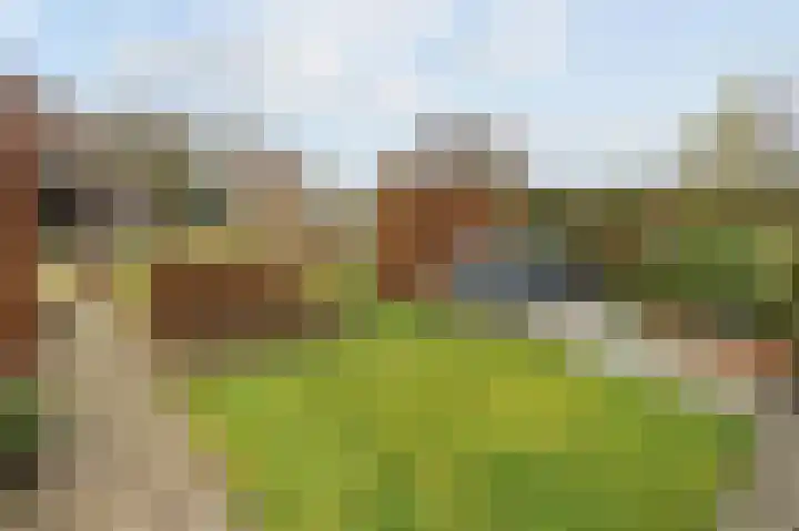 Passtraat 72 Roosteren thumbnail 63