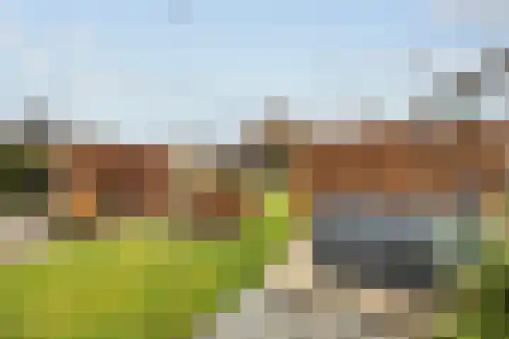 Passtraat 72 Roosteren thumbnail 64
