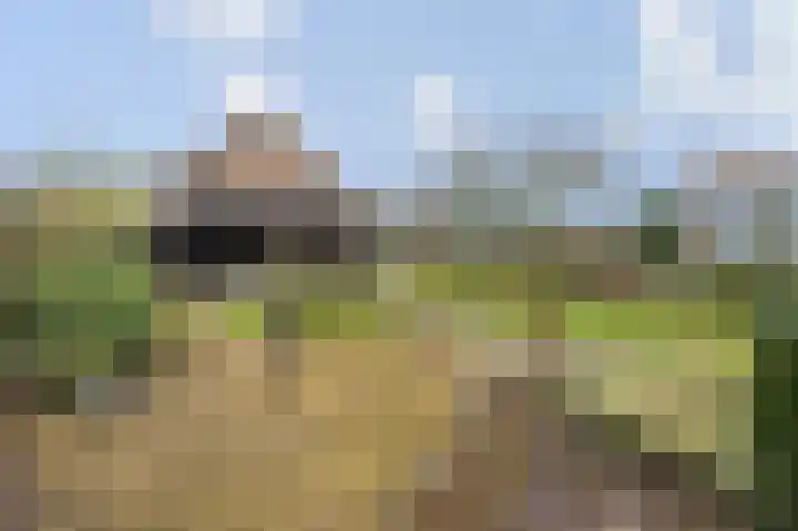 Passtraat 72 Roosteren thumbnail 66