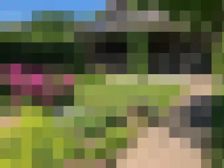 Passtraat 72 Roosteren thumbnail 68