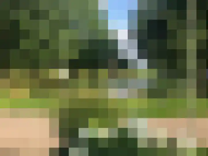 Passtraat 72 Roosteren thumbnail 70