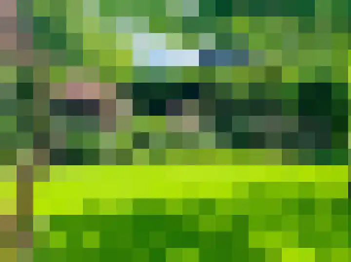 Passtraat 72 Roosteren thumbnail 74