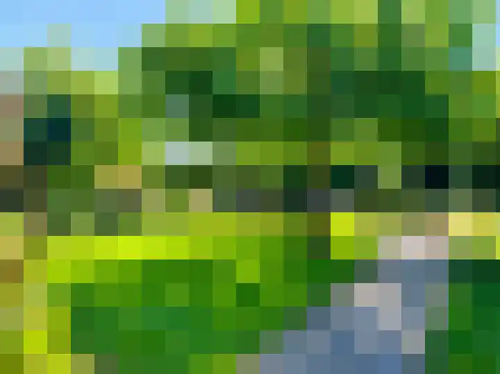 Passtraat 72 Roosteren thumbnail 75