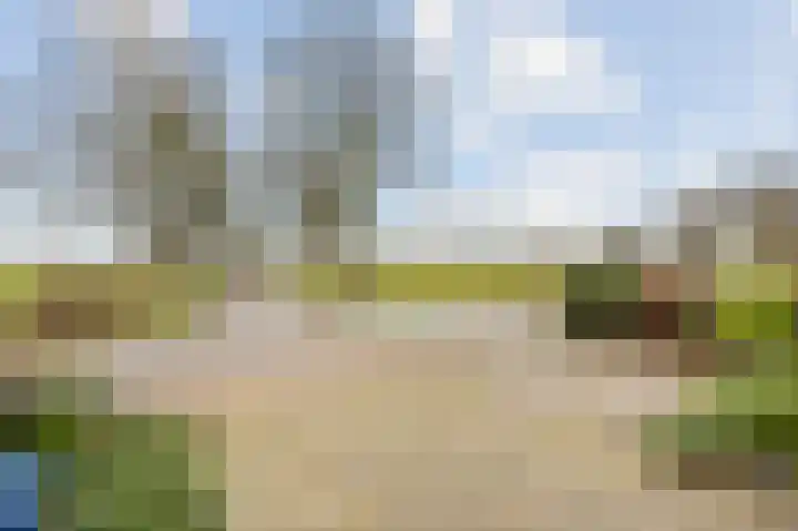 Passtraat 72 Roosteren thumbnail 9