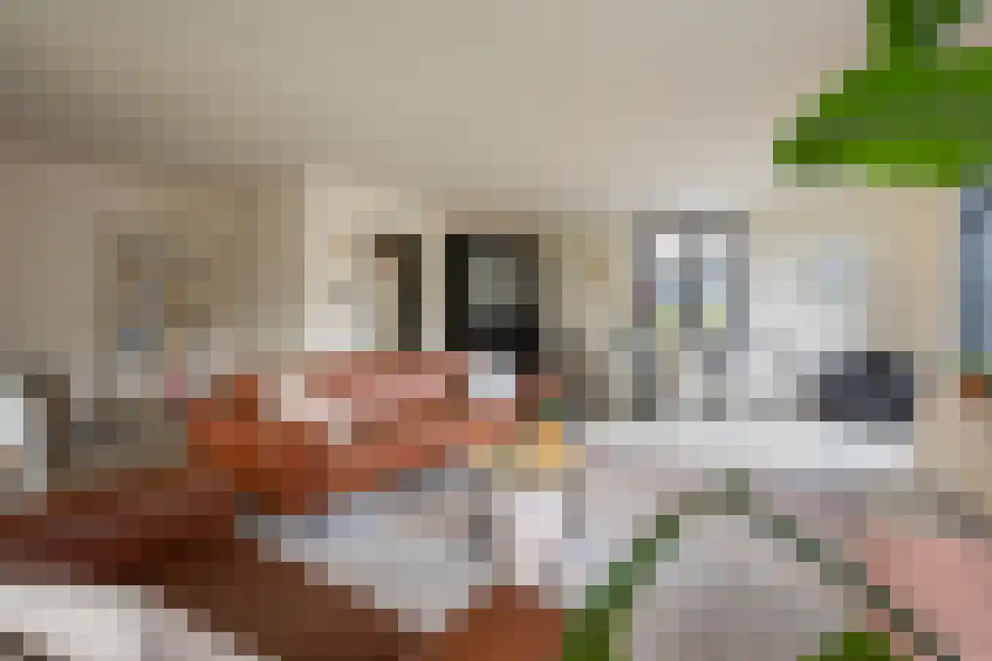 Past Aldenhuijsenstraat 14 Nuenen thumbnail 16