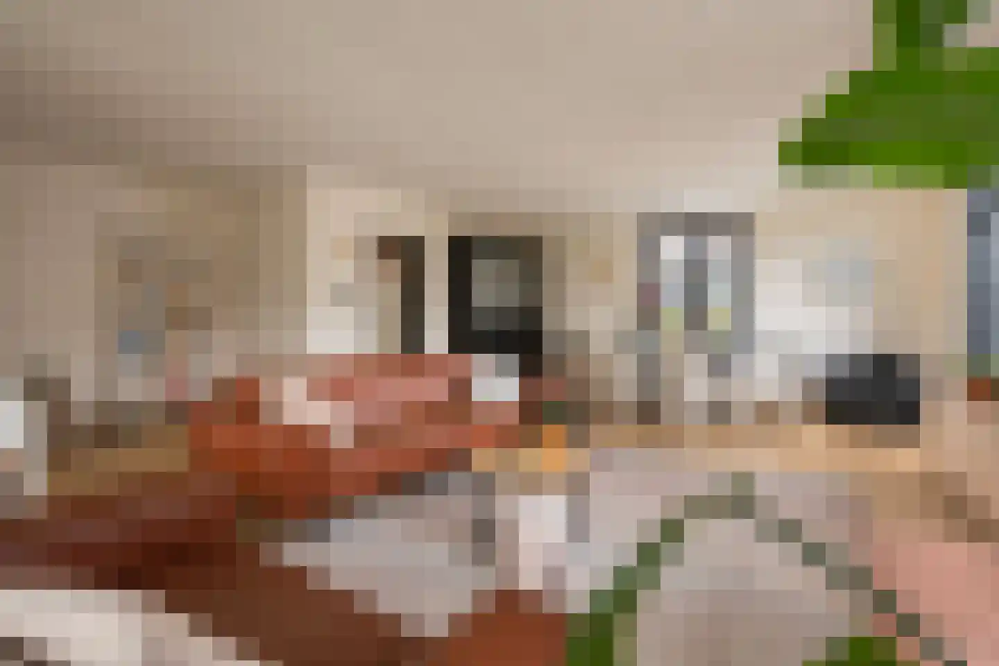Past Aldenhuijsenstraat 14 Nuenen thumbnail 17