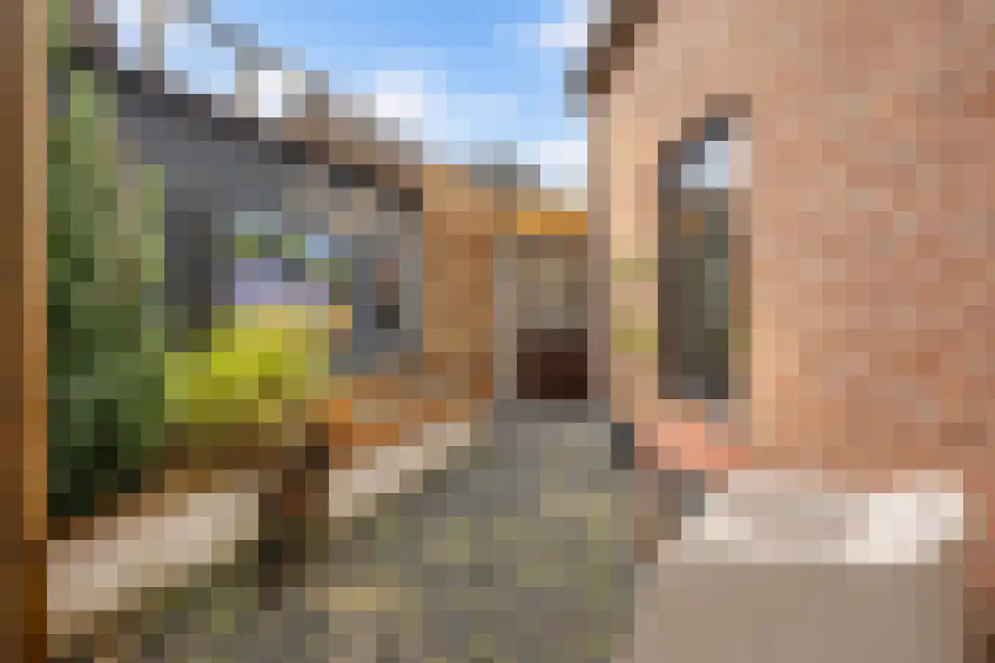 Past Aldenhuijsenstraat 14 Nuenen thumbnail 26
