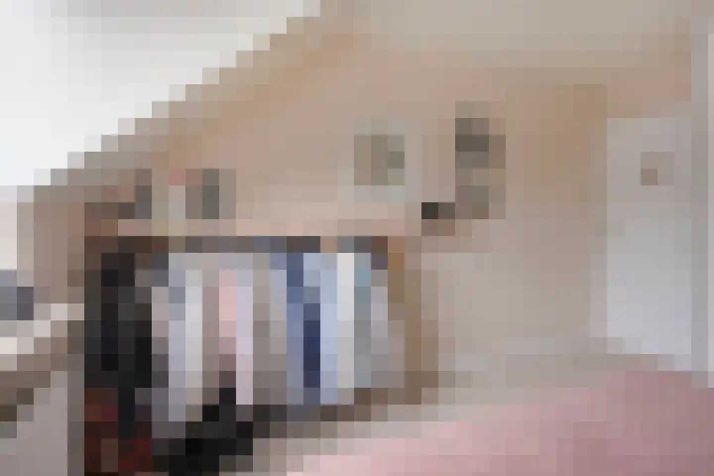 Past Aldenhuijsenstraat 14 Nuenen thumbnail 36