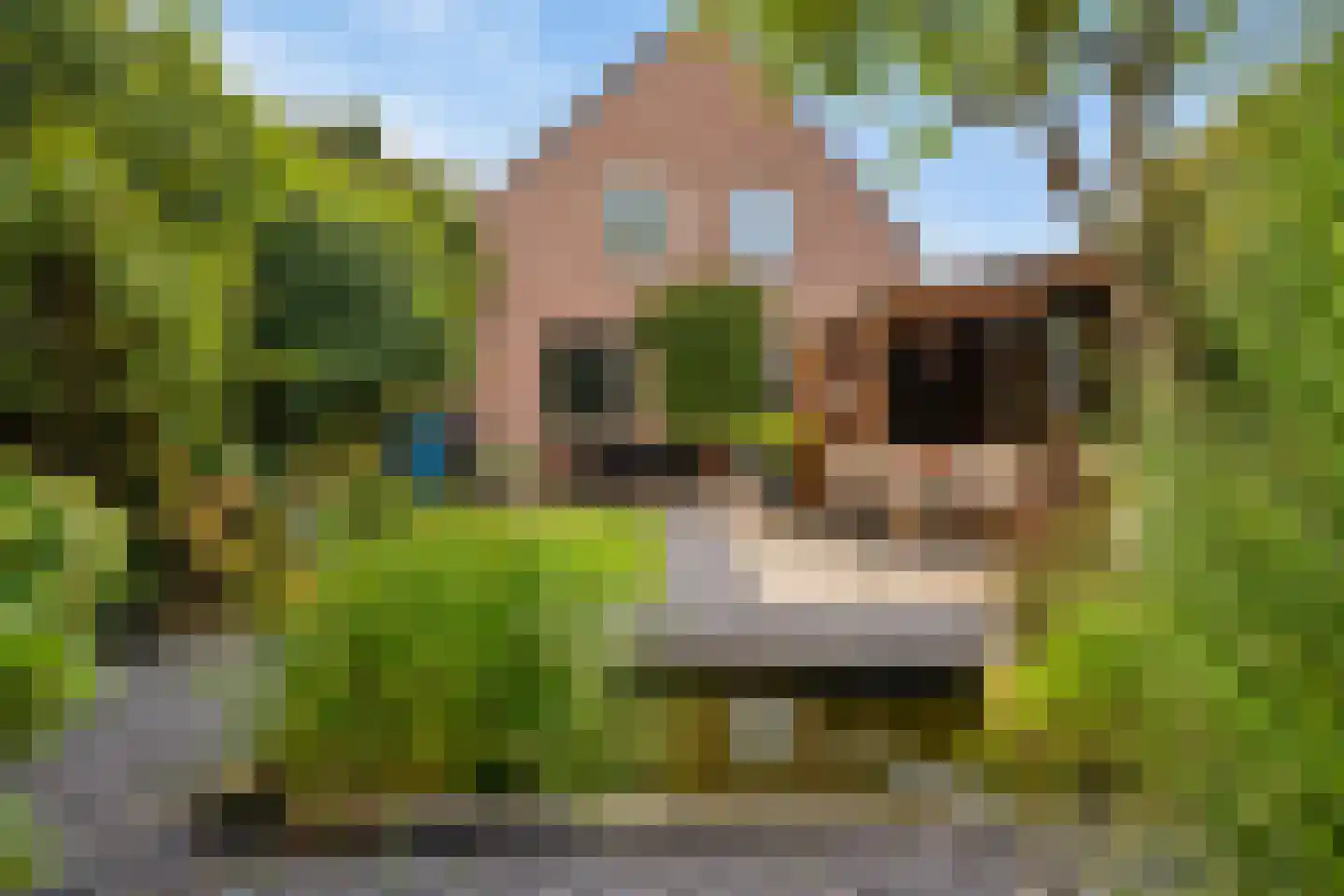 Past Aldenhuijsenstraat 14 Nuenen thumbnail 5