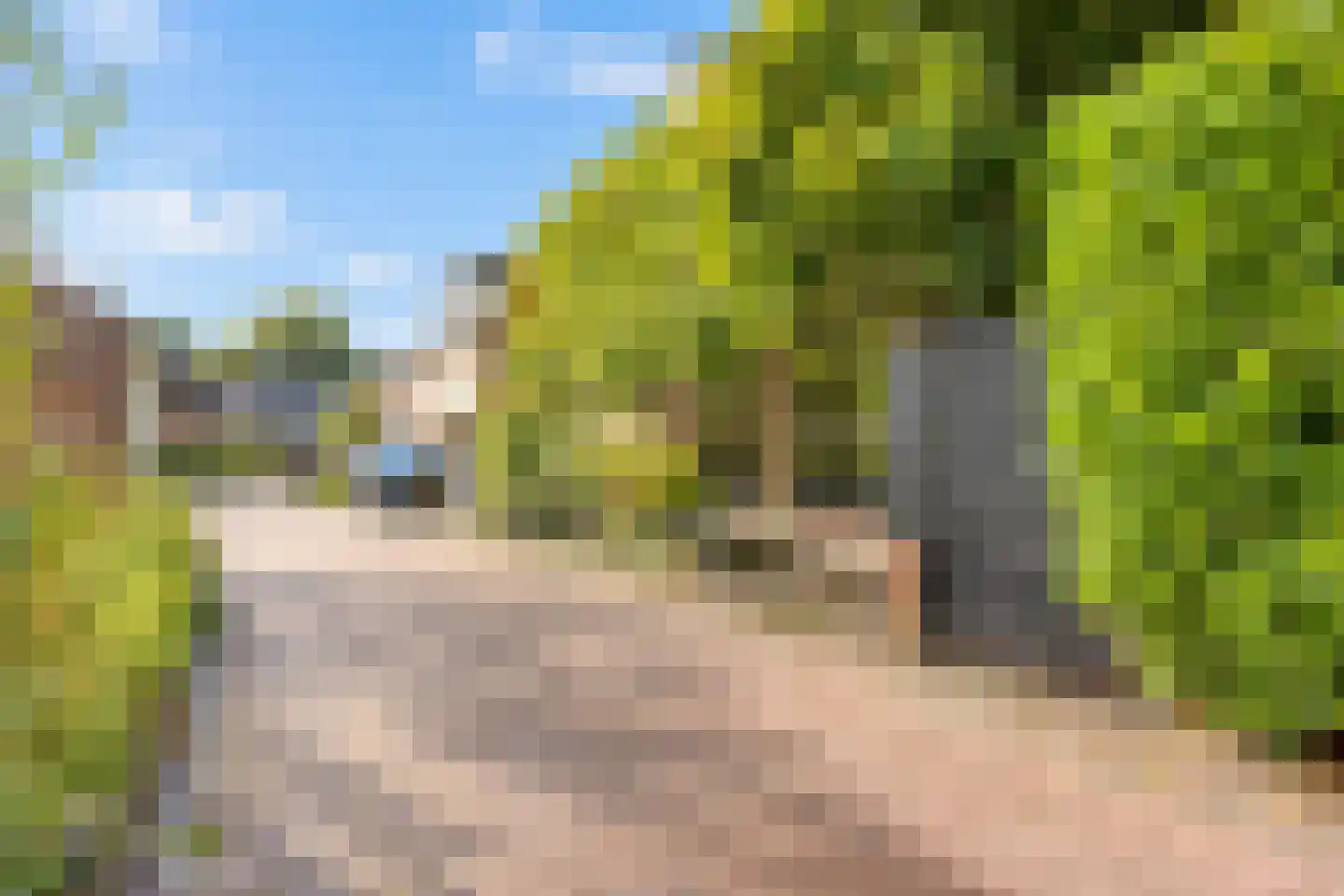 Past Aldenhuijsenstraat 14 Nuenen thumbnail 50