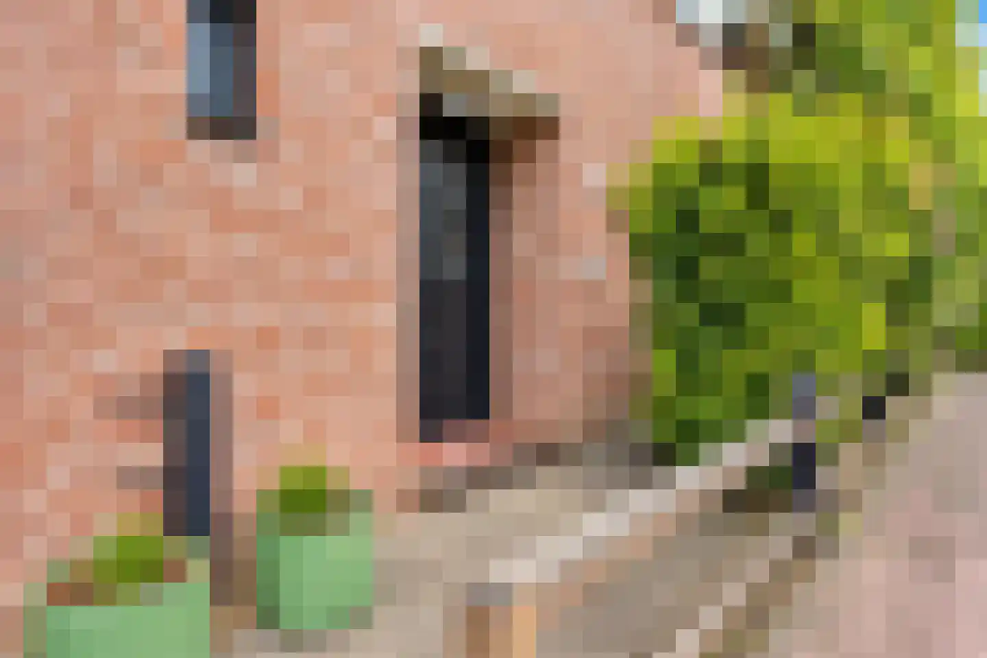 Past Aldenhuijsenstraat 14 Nuenen thumbnail 6
