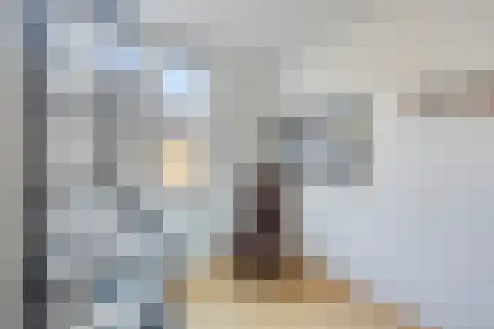 Past Biermansstraat 8 Elsloo thumbnail 11