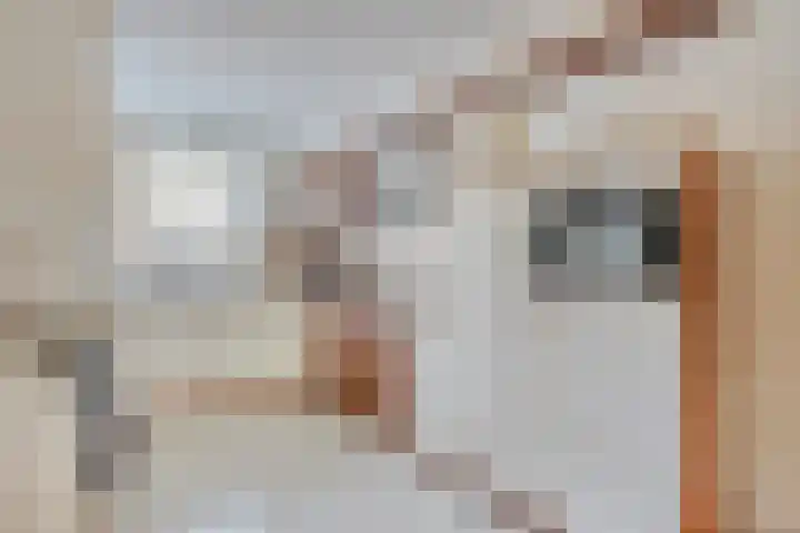 Past Biermansstraat 8 Elsloo thumbnail 6