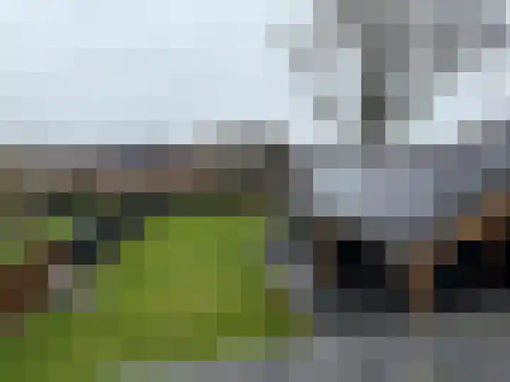 Past. Bolsiusstraat 8 Valkenswaard thumbnail 43