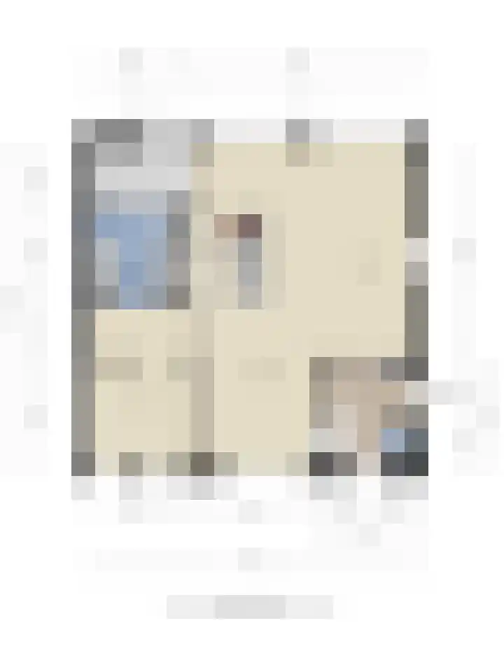 Past. Bolsiusstraat 8 Valkenswaard thumbnail 51