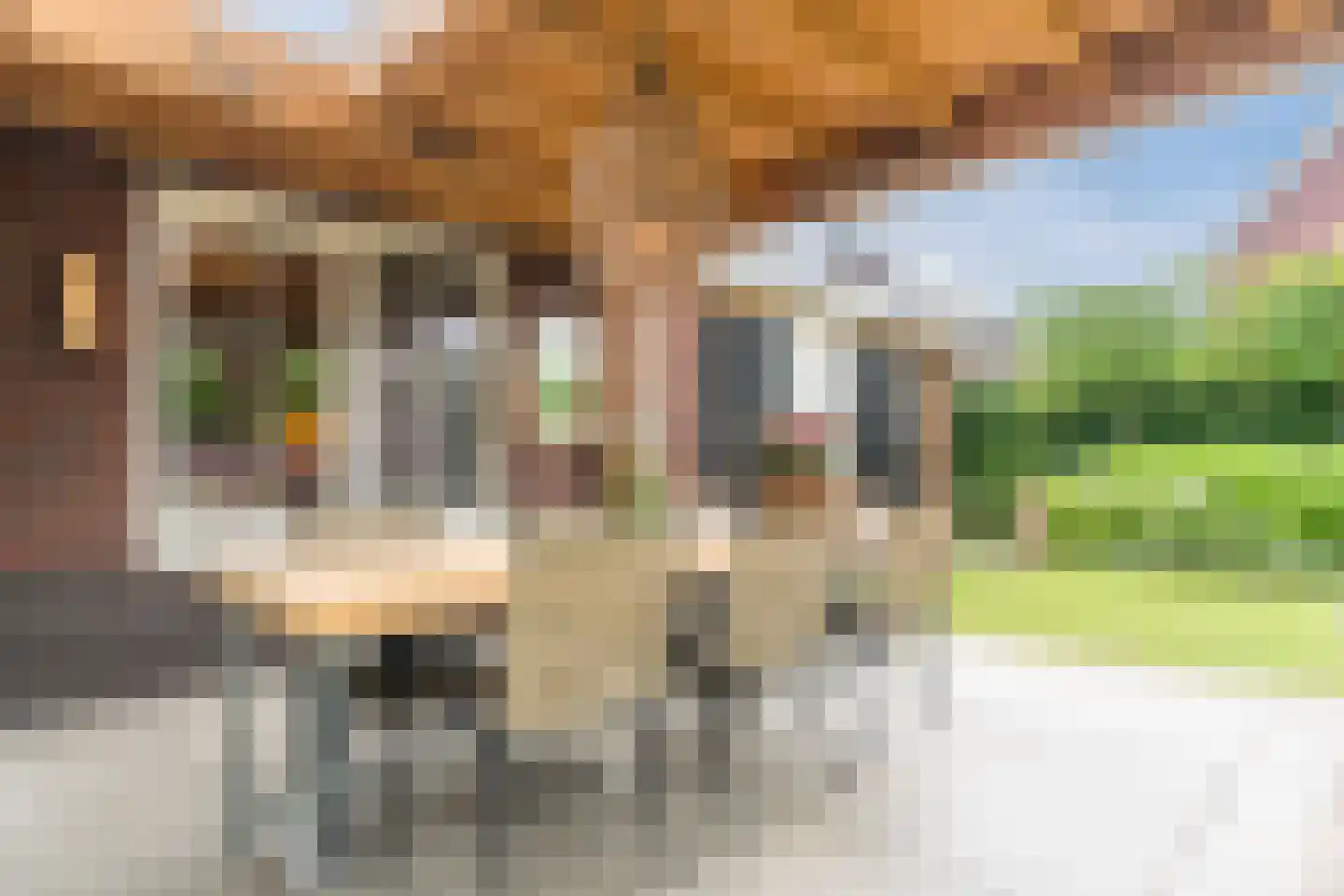 Past. Bolsiusstraat 9 Valkenswaard thumbnail 35